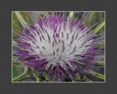 sedation narcotic image healthtips images